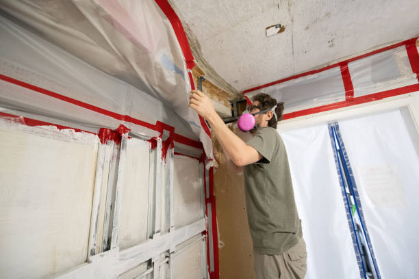 Best Industrial Mold Remediation  in Saybrook Manor, CT